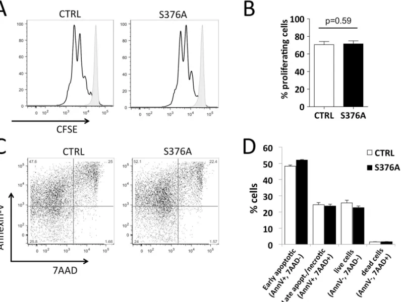 Fig 5. Ser376 mutation does not alter proliferation or activation-induced cell death of T cells
