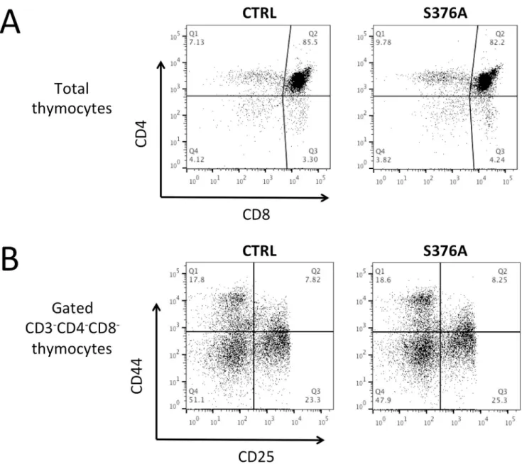 Fig 1. Analysis of thymic development and peripheral lymphoid cell frequencies in control and SLP76-S376A mice