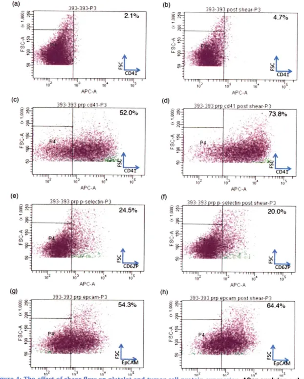 Figure  4:  The  effect of shear  flow on  platelet and  tumor cell  protein  expression