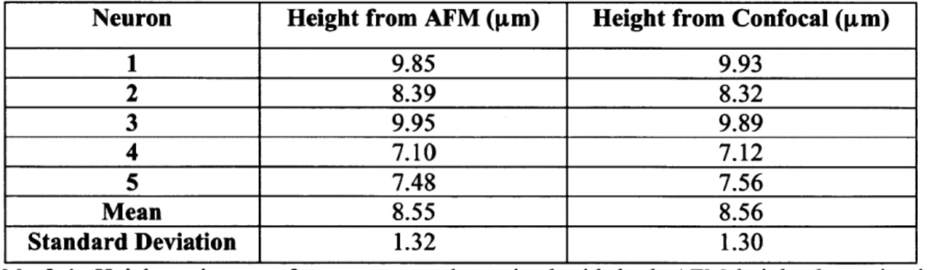 Table  3-1:  Height  estimates  of neuron  soma  determined  with  both  AFM  height  determination methods  and confocal  imaging Z-stacks.
