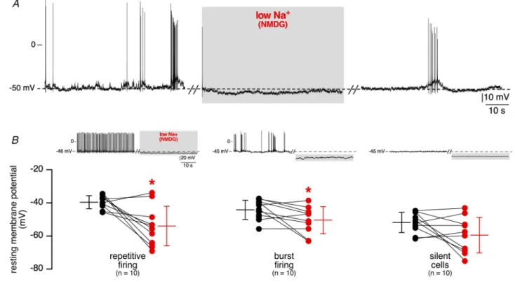 Figure 7. Extracellular Na + -dependency of resting membrane potential