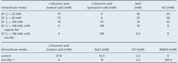 Table 1. Ionic concentrations of intracellular and extracellular media used to determine I Nab ionic selectivity Intracellular media D -Gluconic acid (sodium salt) (mM) D -Gluconic acid (potassium salt) (mM) NaCl (mM) KCl (mM) [K + ] i = 25 mM 75 0 50 25 [