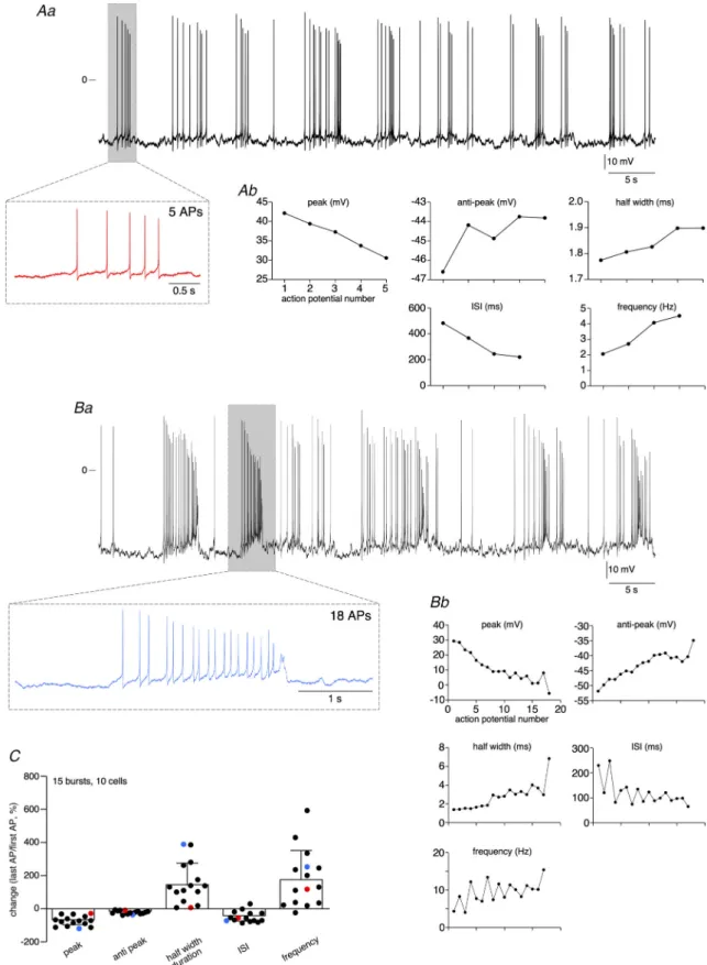 Figure 2. Analysis of AP parameters in bursts