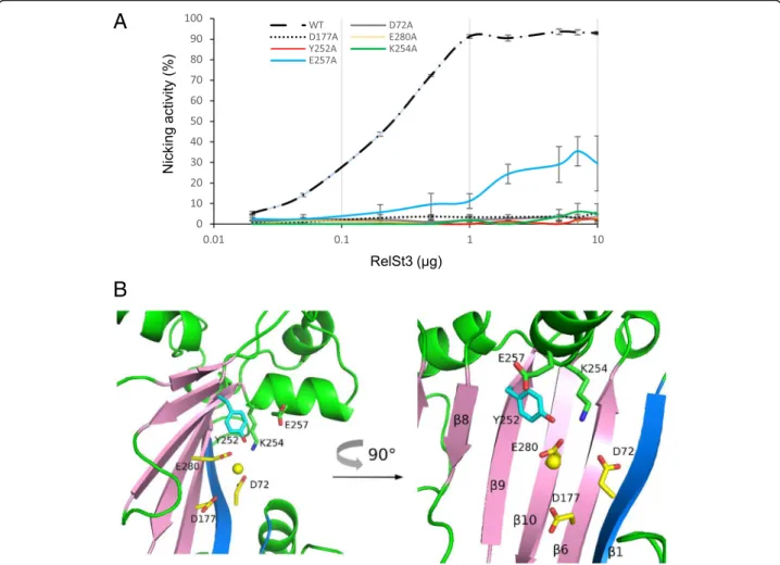 Fig. 7 RelSt3 active site characterization. a Relaxation activity of RelSt3 point mutants