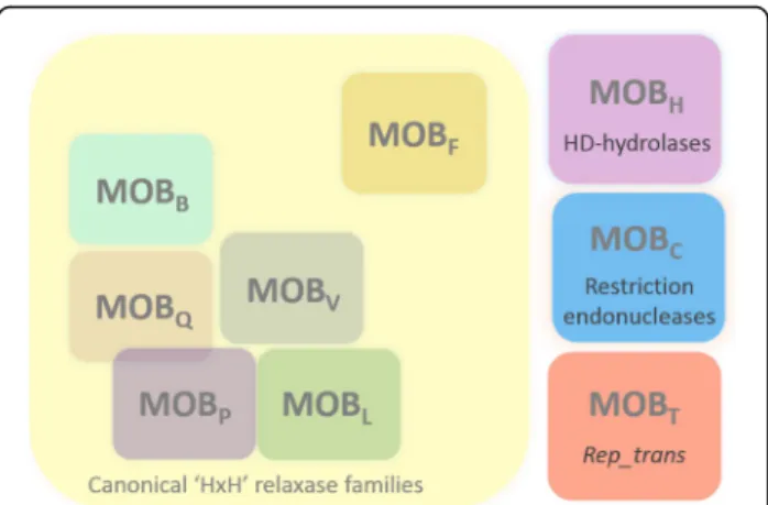 Fig. 8 Representation of the main known relaxase families. The canonical families harboring the ‘ HxH ’ signature are shown on a yellow background