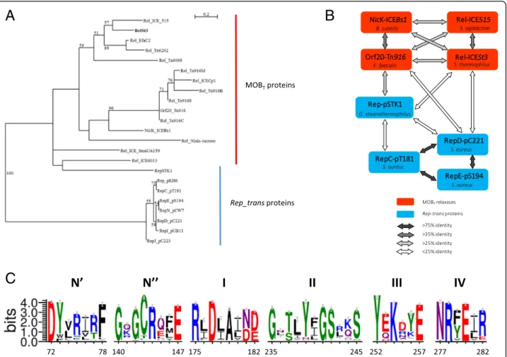 Fig. 1 Relationships between Rep_trans RCR initiators and MOB T relaxases. a Unrooted maximum likelihood tree of MOB T and Rep_trans proteins.