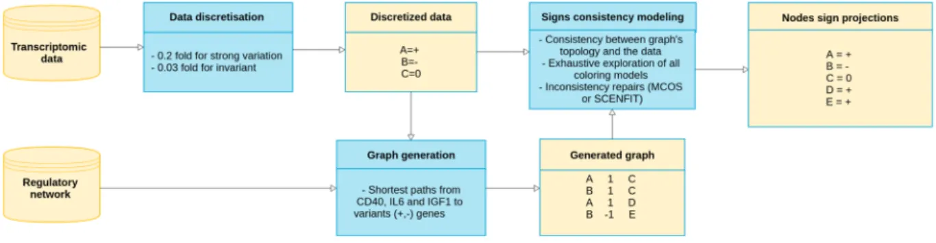 Figure 1.  Overview of the sign consistency modeling framework.