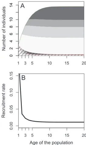 Figure 1: Number of individuals (A) and recruitment rate (B) func- func-tion of the age of the populafunc-tion