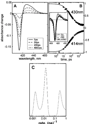 Fig. 2 Kinetics of CO recombination to cm cyt. c following photo-dissociation. Panel A: Transient spectra at selected delay times after photolysis
