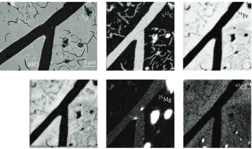 Figure 4: SEM micrograph of a graphite precipitate in the reference 10F2 alloy and SIMS maps (logarithmic scale) of C, Fe, Si, Mg, and Cu.