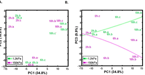 Figure 5. Macrophage gene expression is determined by duration of culture on substrate and substrate rigidity