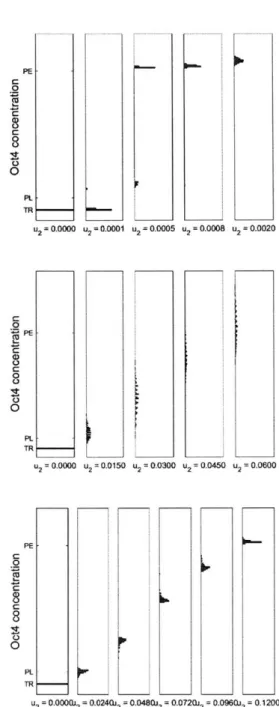 Figure  3-5:  Distribution  of  steady-state  Oct4  concentration  in  cells  as  a  function  of Oct4  inducer  overexpression  for  top:  no  microRNA,  middle:  endogenous  Nanog and  Oct4  mRNA  degradation  bottom:  endogenous  and  synthetic  Nanog  