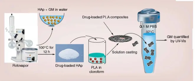 Figure 5. Schematic representation of the drug loading and release method used in this current work