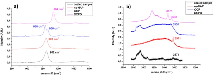 Fig. 8 – Raman spectra of ns-HAP, OCP, DCPD and CaP-coated sample: (a) 850–1100 cm −1 and (b) 2600–4000 cm −1 domains.