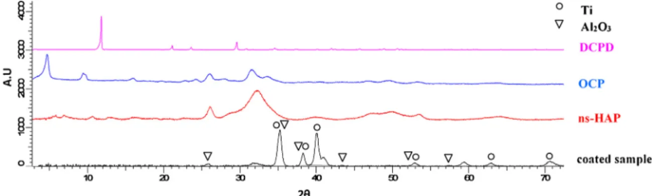 Fig. 6 – X-ray diffractograms of ns-HAP, DCPD, OCP reference compounds and of the coated sample.