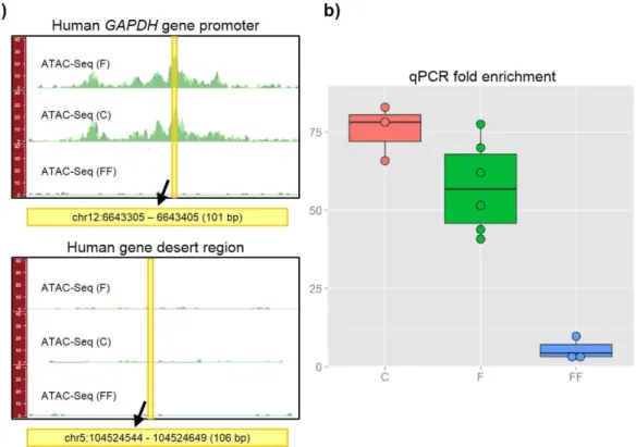 Table 1.   Information about sequencing data. The numbers of total and aligned reads are indicated