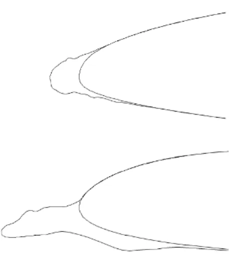 Figure 1: Typical forms of icing simulated in NSMB. On top : rime icing on a NFL0414 airfoil at Re = 6.95 × 10 6 , T = 257.59K