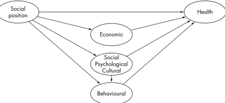 Figure 1 shows a simple example of the way in which the relative importance of different pathways linking social structure to health could be modelled.