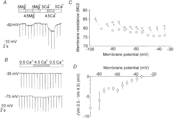 Figure 3. Effects of changes in [Ca 2+ ] o on the membrane resistance and on the resting potential in whole cell current-clamp experiments