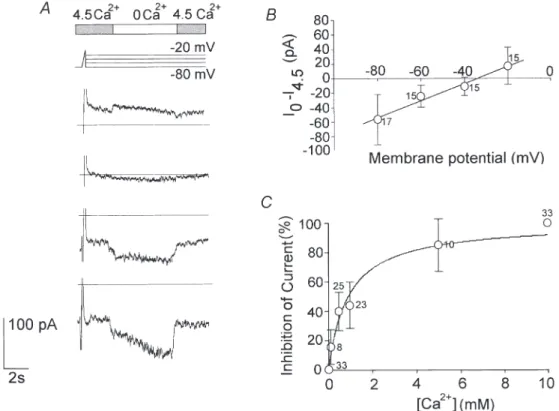 Figure 4. External Ca 2+ and Mg 2+ had similar effects on the surface potential