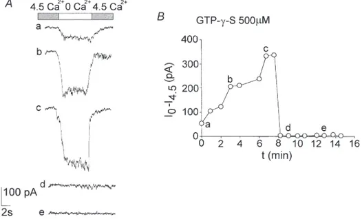 Figure 8. The Ca 2+ -sensitive current is modulated by GTP-y-S
