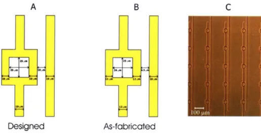 Figure 2-4: Overview  of the DEP  trap and trap array.  The  DEP geometry  consists  of a square  electrode  and a  line  electrode