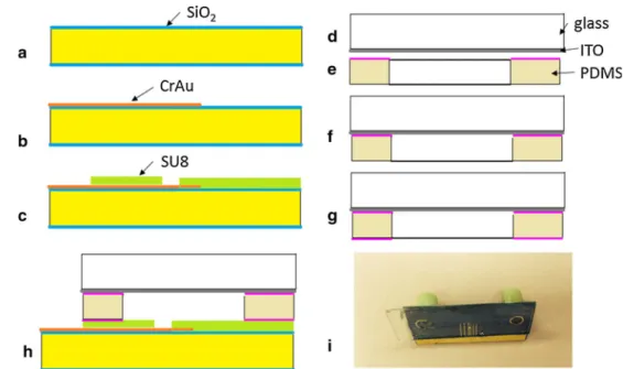 Fig. 2    Main steps of the fabri- fabri-cation process of the  microflu-idic chip with dielectrophoretic–