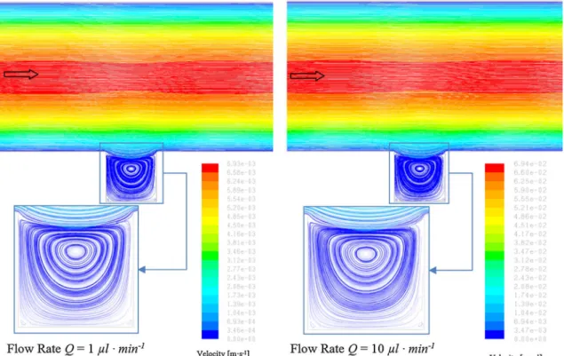 Fig. 4    Velocity in the microfluidic channel for flow rates of 1 and 10 µL/min