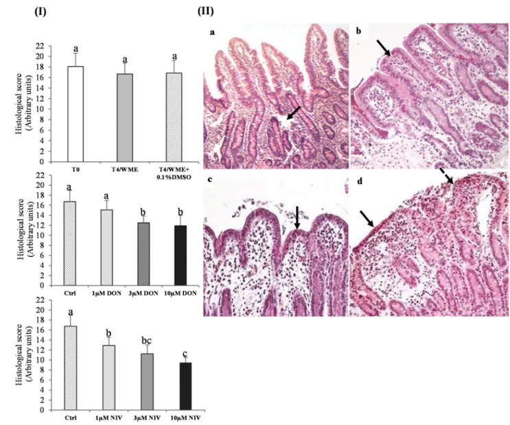 Figure 1. Histological scores of jejunal explants. (I) Explants exposed to different  treatments: T0 (Time 0H, before culture ), T4/WME (4 h in William’s medium E), T4/WME  + 0.1%DMSO (dimethylsulfoxyde), DON (deoxynivalenol) or NIV (nivalenol): 1, 3 and  