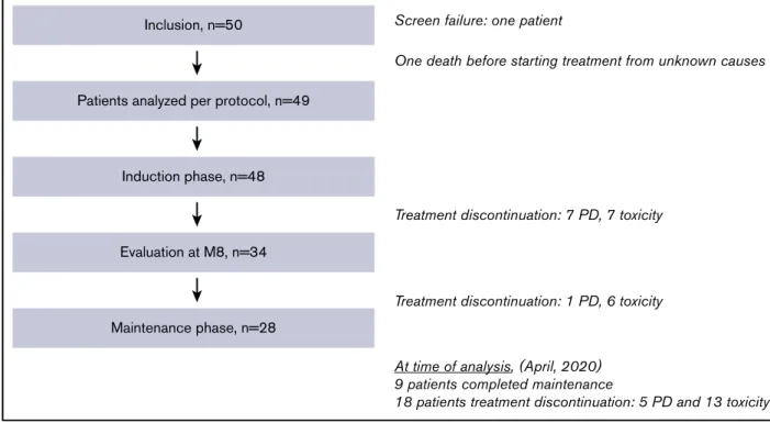 Figure 1. Study flowchart, patient disposition, and treatment exposure. M8, month 8; PD, progressive disease.
