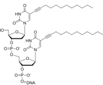 Figure  1.  Example  of  a  LON  with  short  alkyl  chains  covalently  linked to the nucleobases.