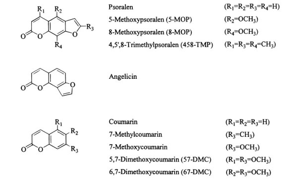 TABLE 1: Bimolecular Rate Constants for Reaction of Coumarin and Psoralen Donors with Triplet Chloranil and λ max Values for the Respective Radical Cations in