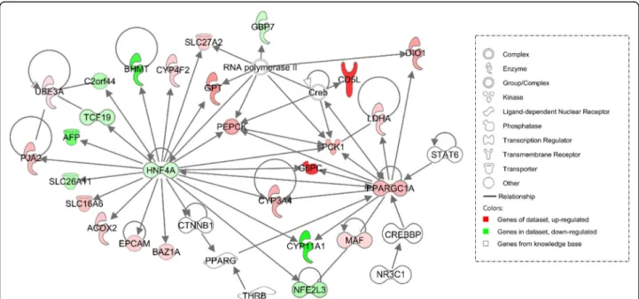 Fig. 6 Network 1 (carbohydrate and lipid metabolism, energy production) in MS at day 110 compared to day 90 using IPA