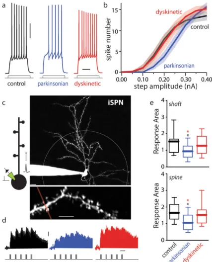 Figure 1. iSPN intrinsic and dendritic excitability was reduced in iSPNs from parkinsonian mice  and restored by high-dose L-DOPA