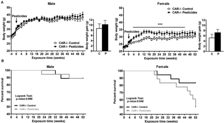 Figure 7. Body weight (A) and survival (B) of male and female constitutive androstane receptor ð CAR Þ −= − mice fed control (C) or pesticide (P) chow for 52 wk