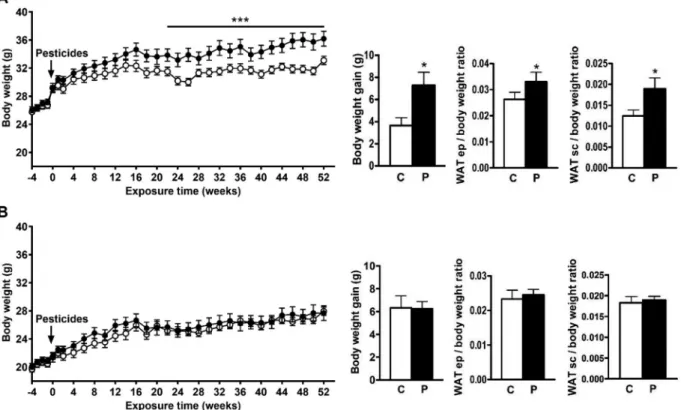 Figure 1. Body weight and white adipose tissue (WAT) weight in male (A) and female (B) wild-type mice