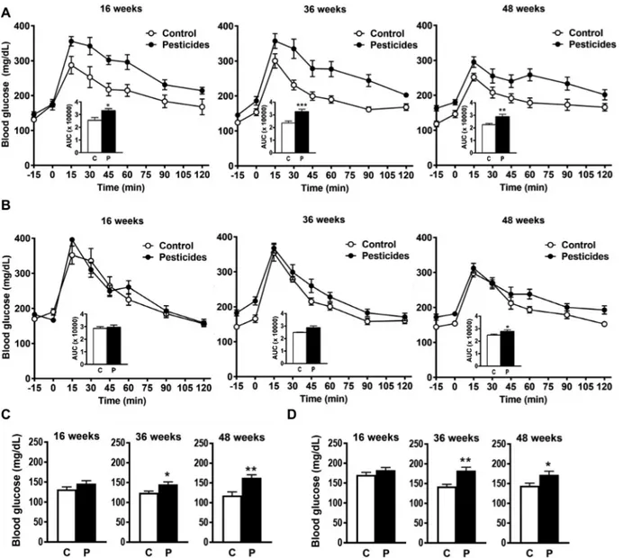 Figure 2. Fasting blood glucose in male (A and C) and female (B and D) mice after administration of an intraperitoneal [1 g = kg body weight (BW); 16 wk] or an oral (2 g = kg BW; 36 and 48 wk) glucose load