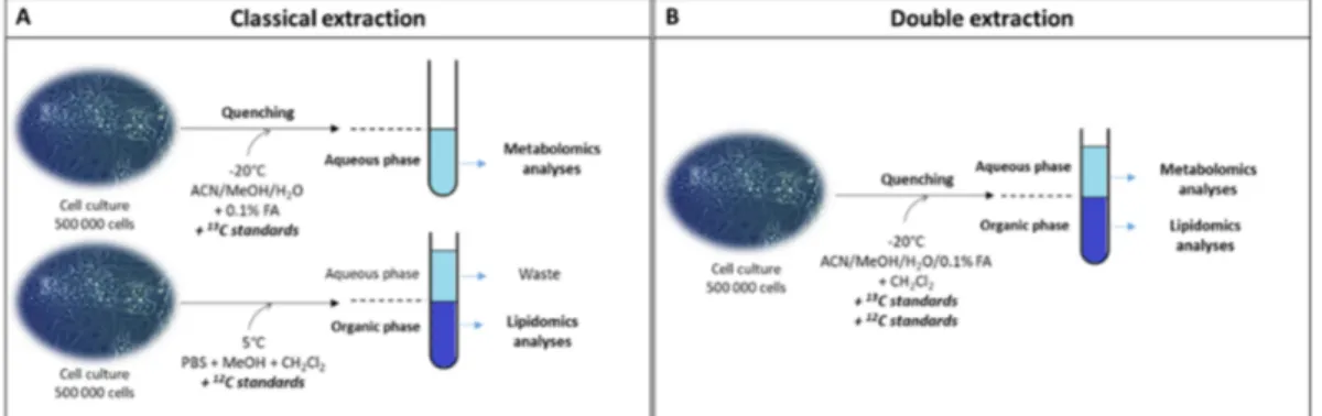 Figure 1. Experimental scheme of the classical and double extraction methods used to perform  metabolomics and lipidomics analyses