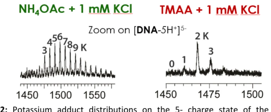 Figure  2:  Potassium  adduct  distributions  on  the  5‐  charge  state  of  the  sequence  dTAGGGTTAGGGTTAGGGTTAGGG (forming a G‐quadruplex with 3 quartets and 2 specific  potassium binding sites), recorded in 1 mM KCl in either 100 mM NH4OAc (left) or T