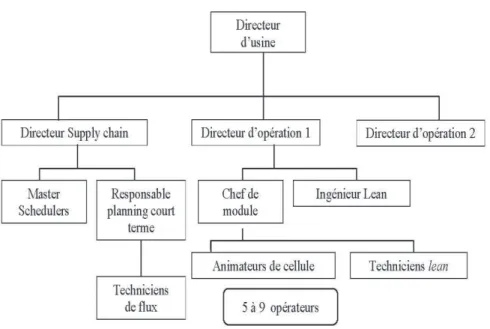 Figure 1 : Organigramme simplifié après introduction du lean 