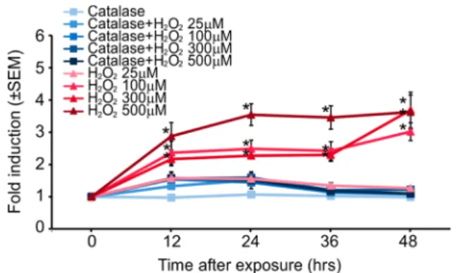 Figure 6. Dose and time response of DNA-damage biosensor cells to H 2 O 2 analyzed using FC