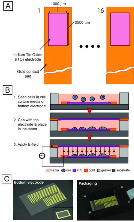 Fig. 2. Integrated microfabricated platform