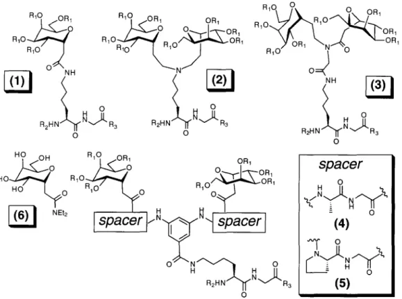 Figure 2." Molecular Diversity of C-Linked Neoglycopeptides (1-5) 