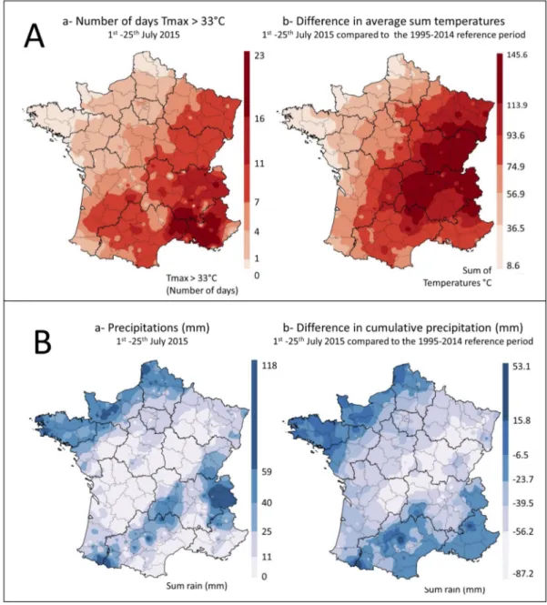 Figure 1. Temperatures and rainfall during the maize flowering period in France. (A): Temperatures  (a) number of days with T max  &gt; 33 °C between 1 July and 25 July and (b) comparison of the sum of  daily temperatures between 1 July and 25 July, with t