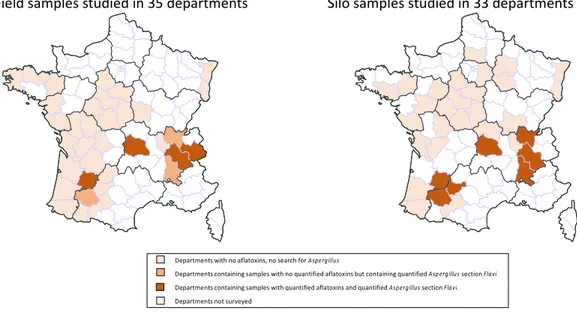 Figure 2. Geographic distribution of field and silo samples according to their contamination status  with AFs and Aspergillus section Flavi