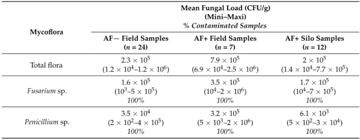 Table 2. Total fungal flora found in maize samples.