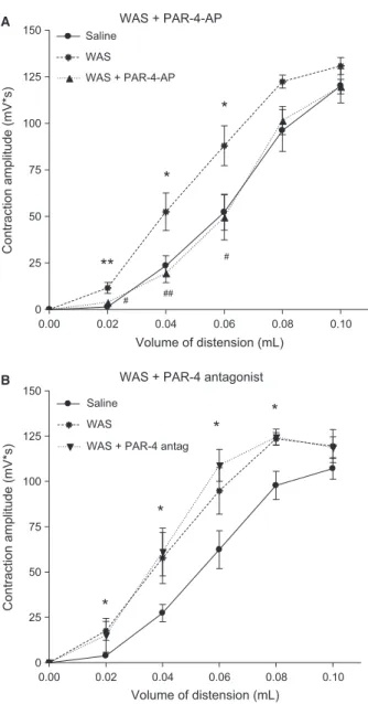 Figure 2 Effect of PAR-4 activation and blockade in water avoidance stress model. Electromyographic activity of abdominal muscle  con-tractions evoked by CRD in mice either 1 h after colorectal infusion of 100 lg PAR-4-AP or its vehicle, or 30 min after PA
