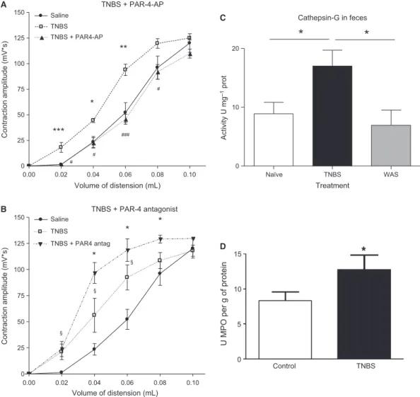 Figure 3 Effect of PAR-4 activation and blockade in TNBS-induced hypersensitivity. Electromyographic activity of abdominal muscle contrac- contrac-tions evoked by CRD in mice either 1 h after colorectal infusion of 100 lg PAR-4-AP or its vehicle, or 30 min