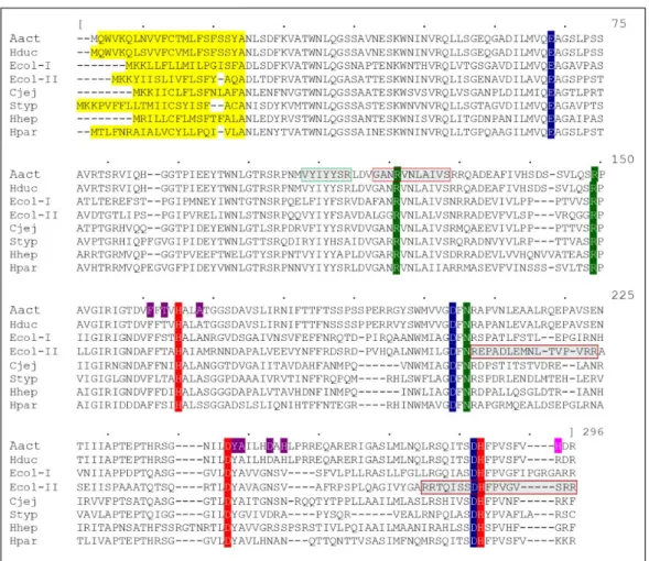 Figure 1.  Sequence alignment between CdtBs from different organisms: AactCdtB, HducCdtB,  EcolCdtB-I, EcolCdtB-II,  CjejCdtB, StypCdtB, HhepCdtB and HparCdtB (Genbank accession Figure 1