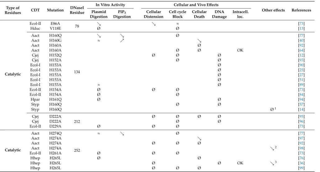 Table 1. Effects of mutations in CdtBs of different bacteria compared to their respective WT forms: increased ( % ), unchanged ( ≈ ), decreased ( &amp; ) or loss of activity/effect (Ø)